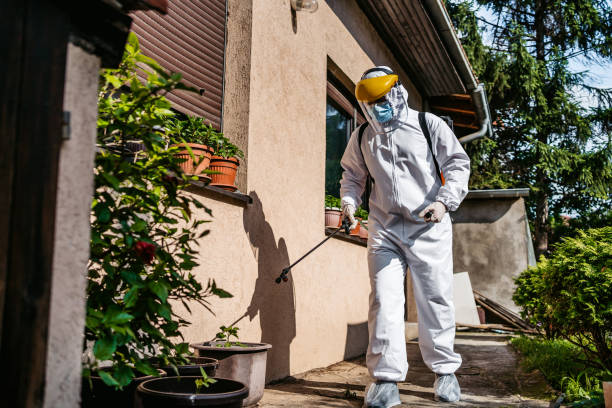 Trusted Royersford, PA Pest Control Experts