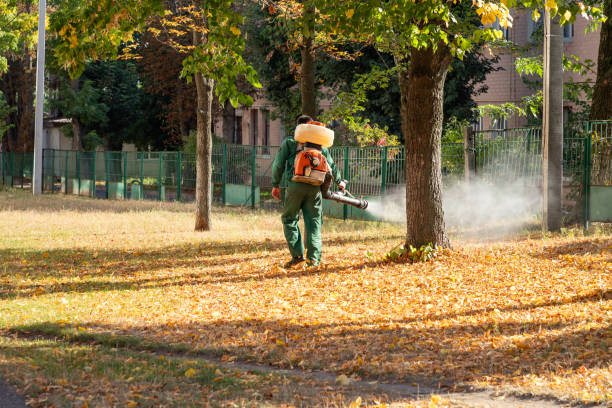 Best Flea Control Services  in Royersford, PA