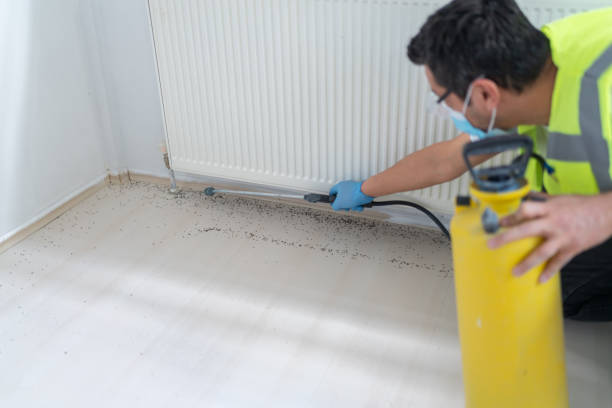 Best Affordable Exterminators  in Royersford, PA